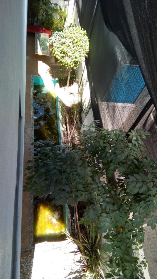 Casa Zen Hotel Pachuca Eksteriør billede