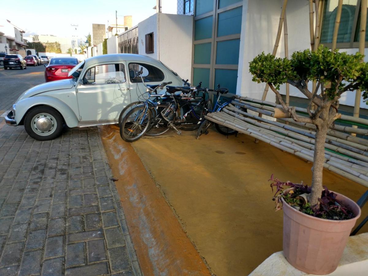Casa Zen Hotel Pachuca Eksteriør billede